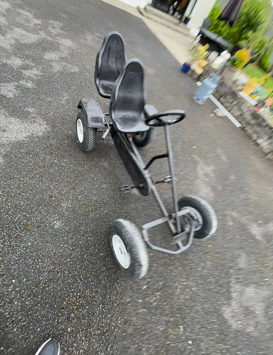 Berg go kart - Image 1