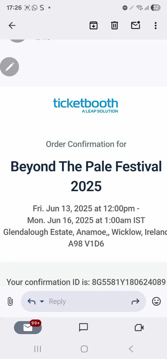 Beyond the Pale Festival Ticket - Image 2