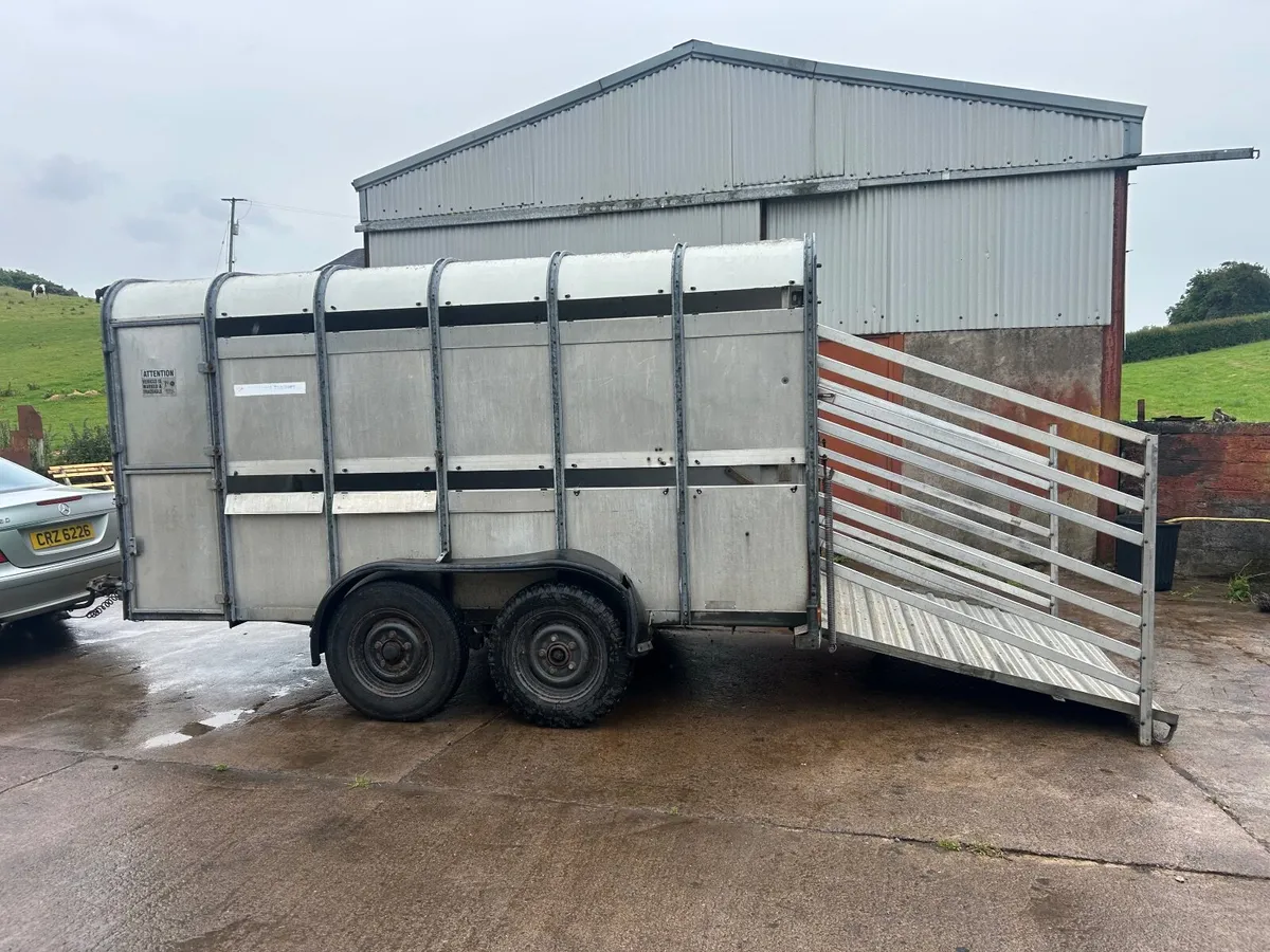Cattle trailer Ivor Williams NO VAT - Image 2