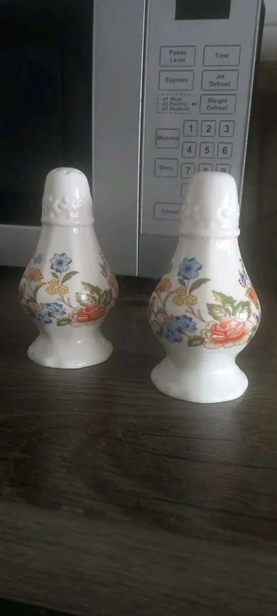 Aynsley Garden Bone China Salt and Pepper Set - Image 1
