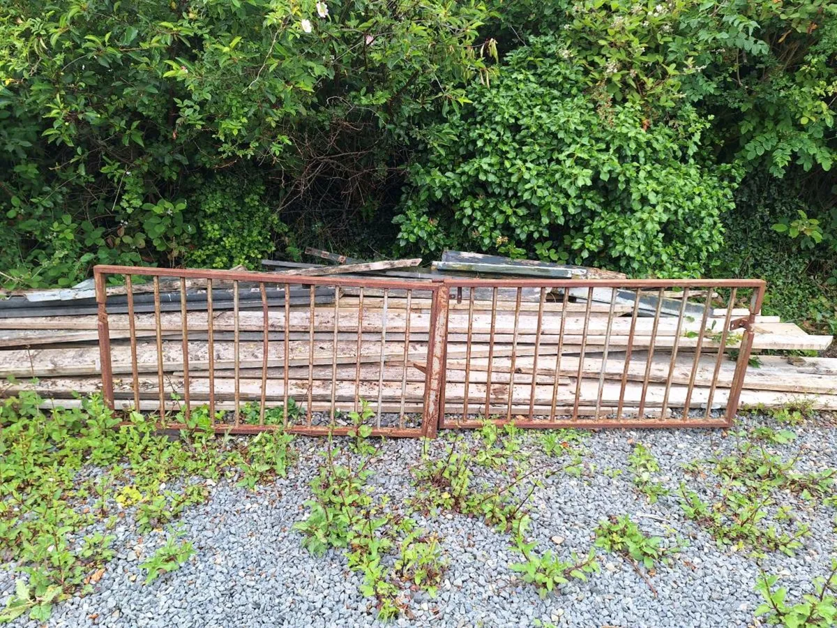 Iron gates - Image 1