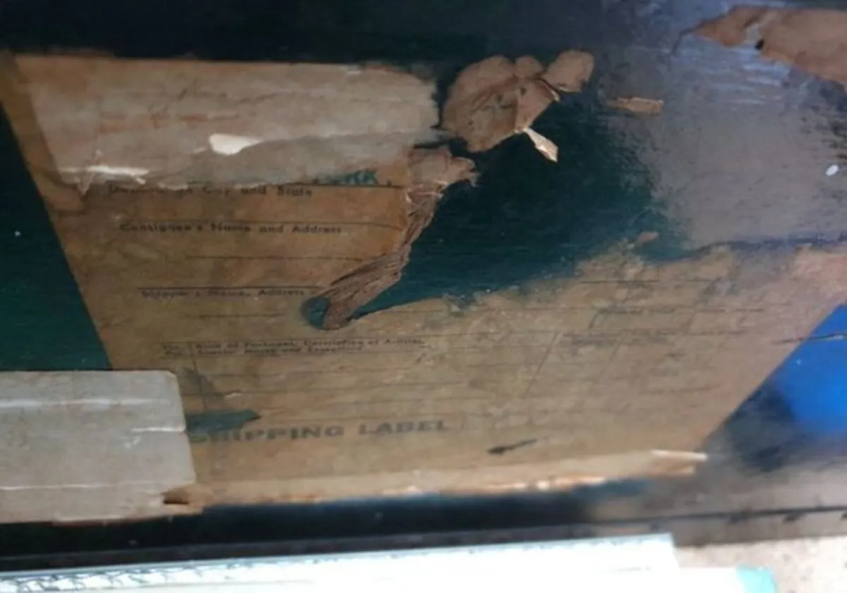 Beautiful Old Chest/Trunk - Image 4