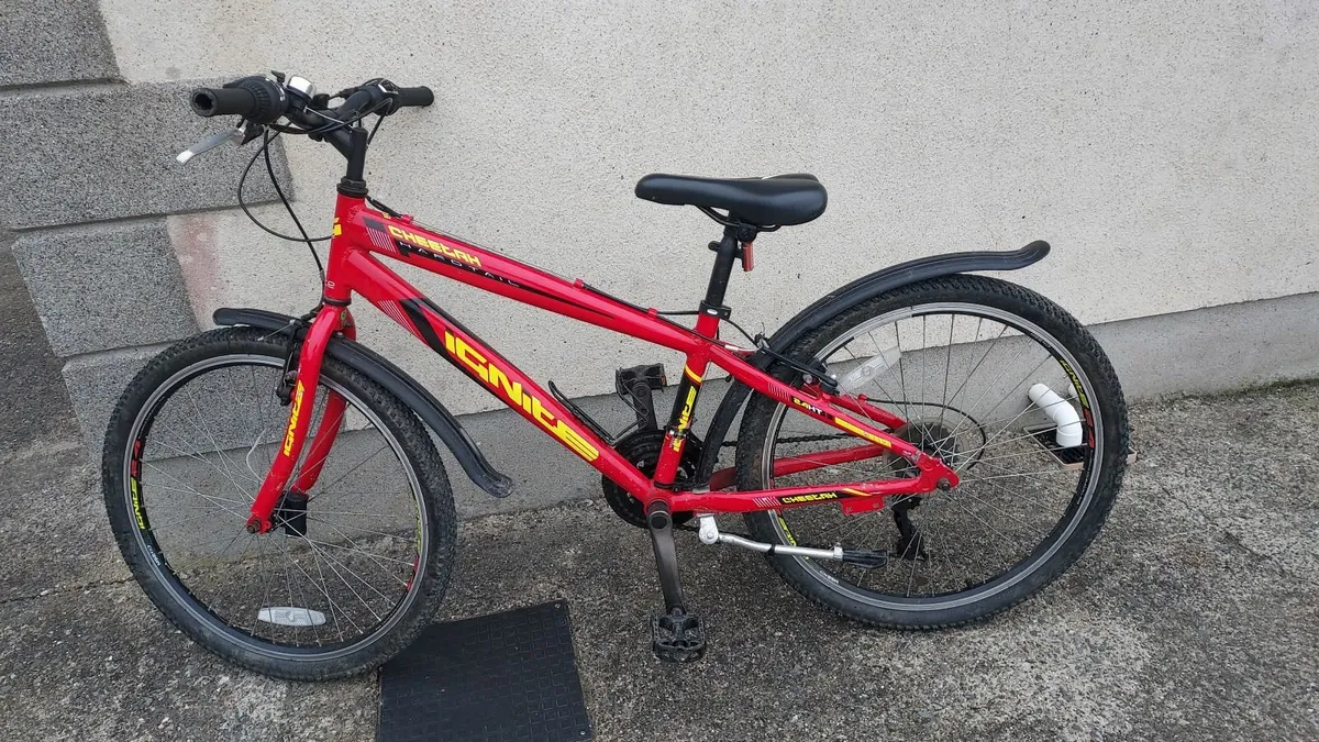 24 inch Cheetah Ignite - Image 3