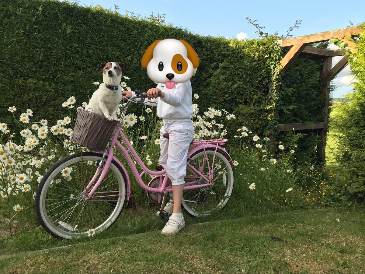 Child’s bike - Image 1