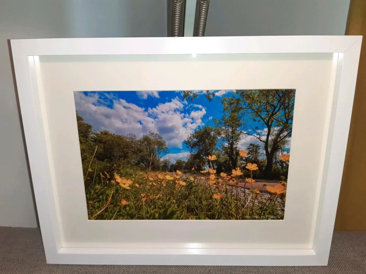 Midleton Greenway - Image 2