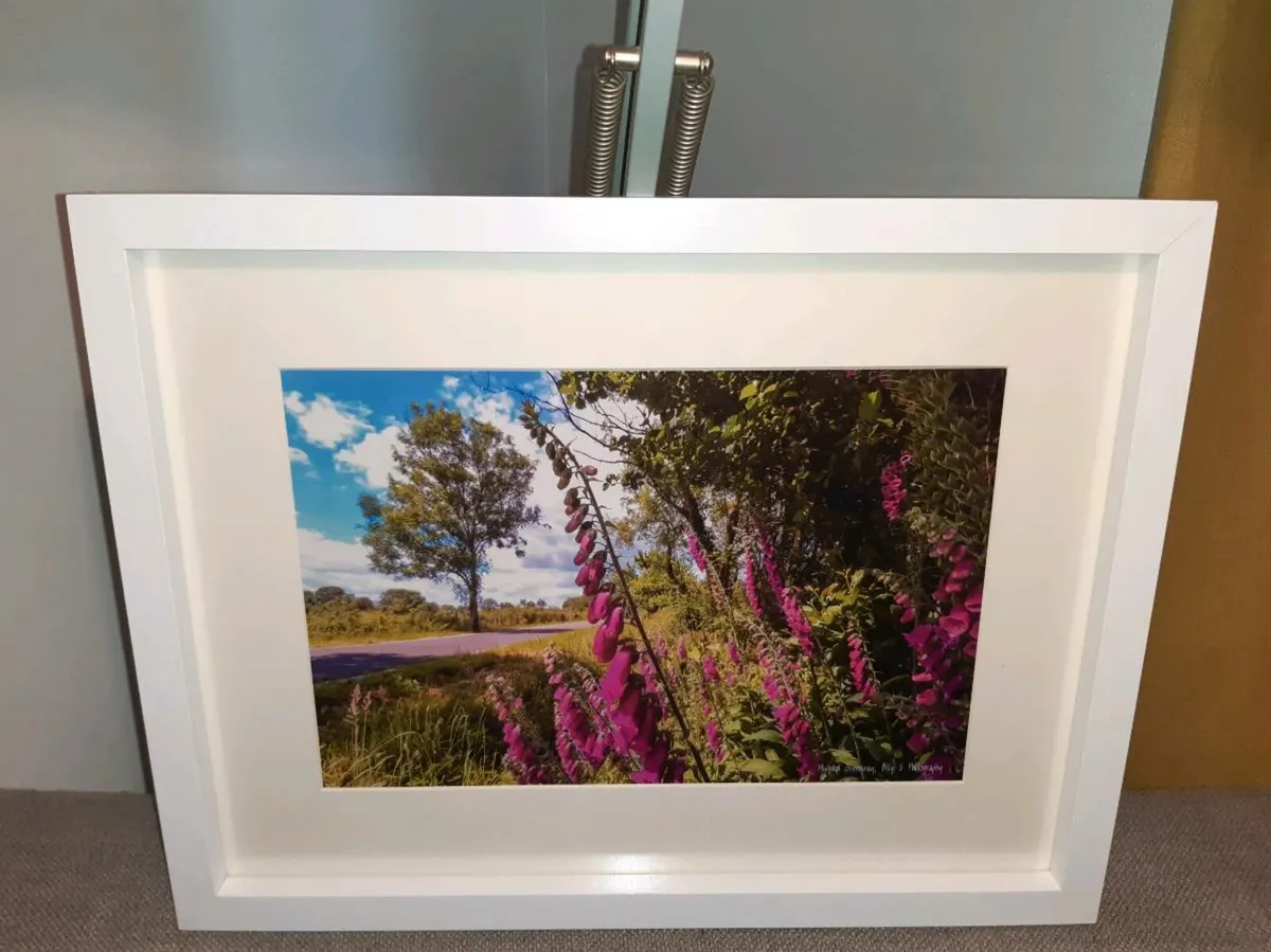 Midleton Greenway - Image 3