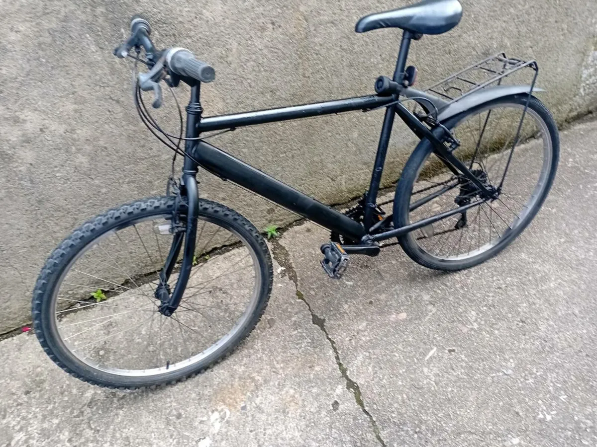 Adult bike - Image 3