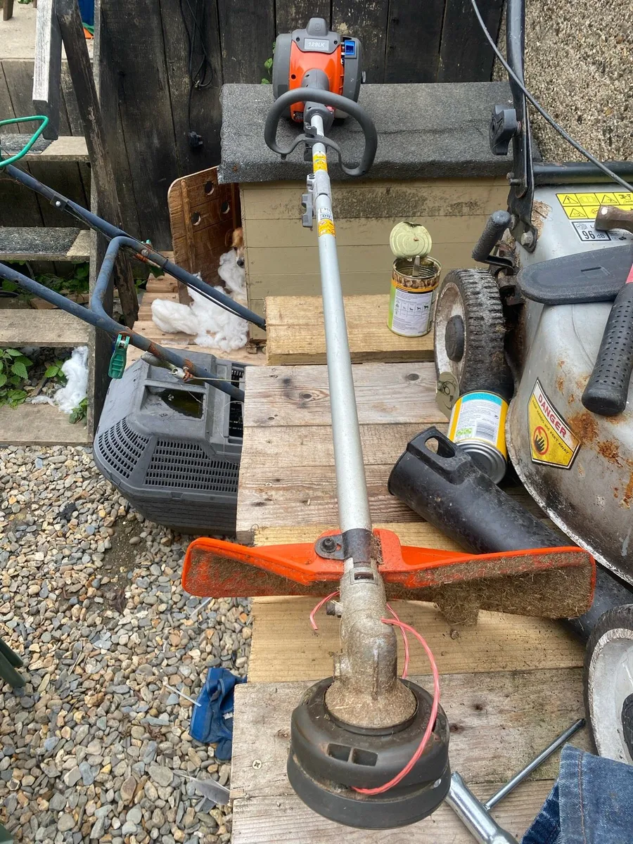 Strimmer - Image 1