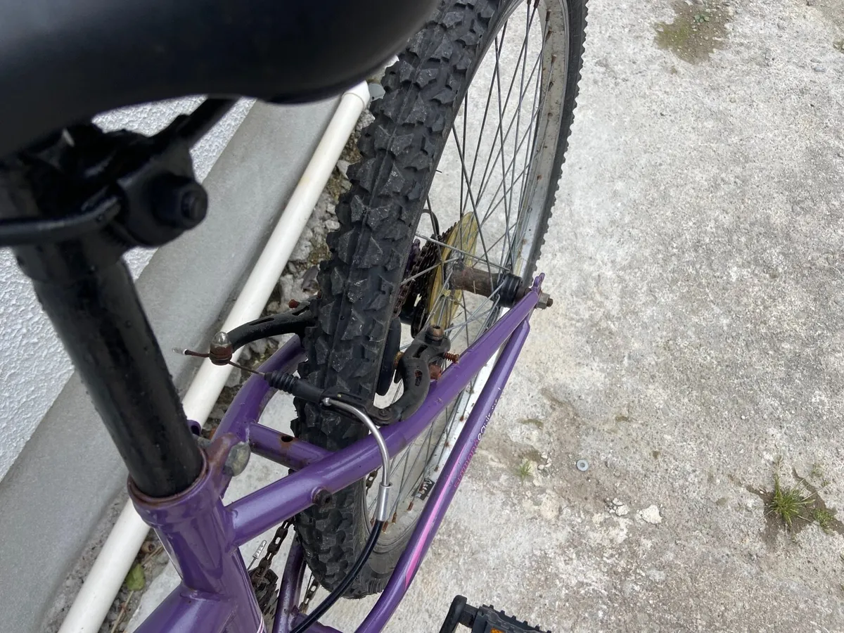 Bike - Image 2