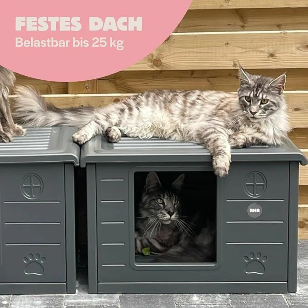 Cat House For Indoor and Outdoor Use - Weatherproo - Image 1