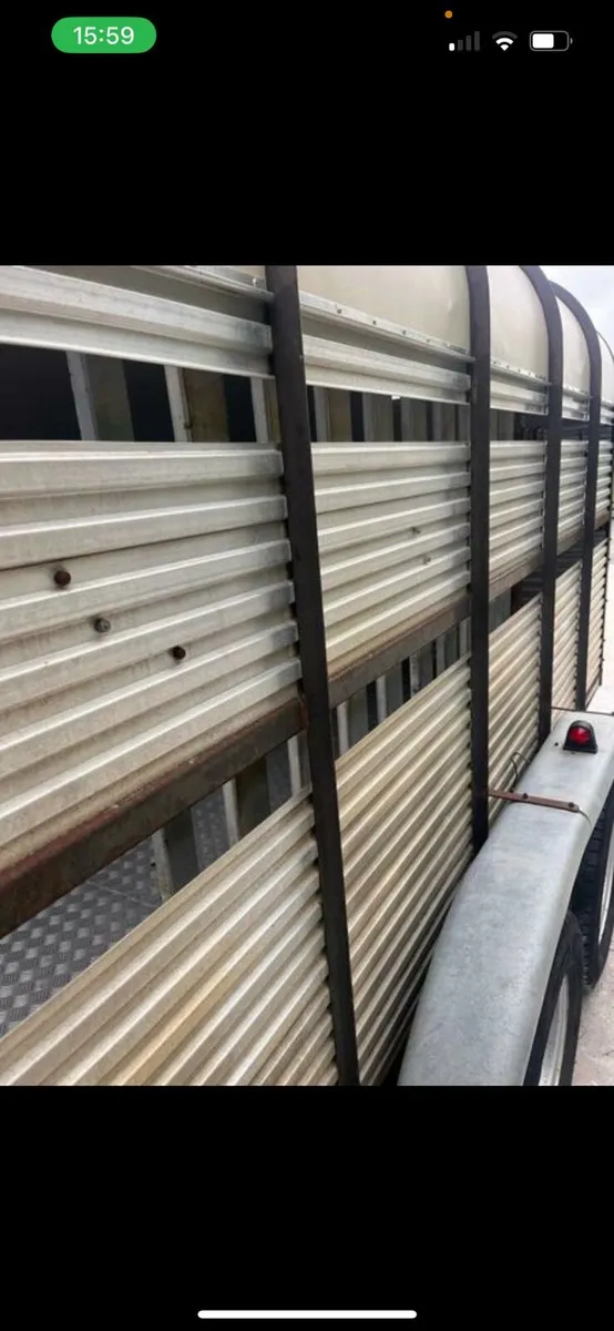 Hamilton livestock trailer - Image 2