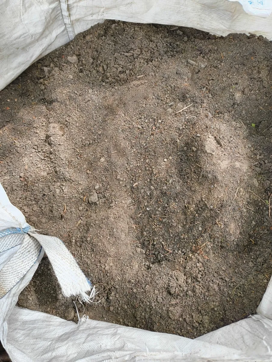 Free Soil - Image 2
