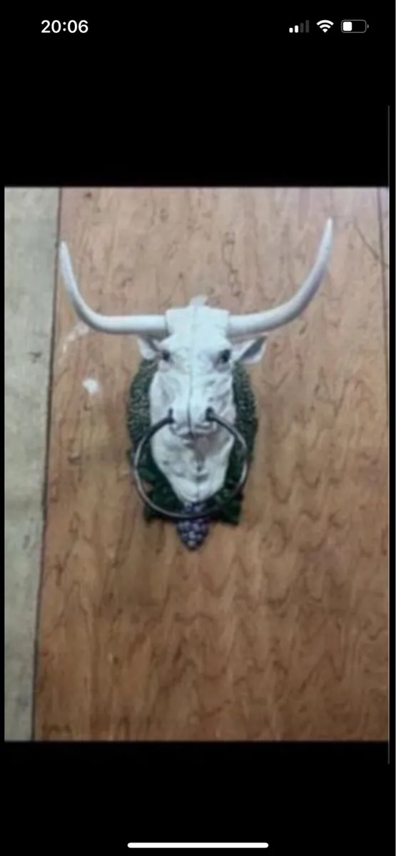 Bull door knocker - Image 3