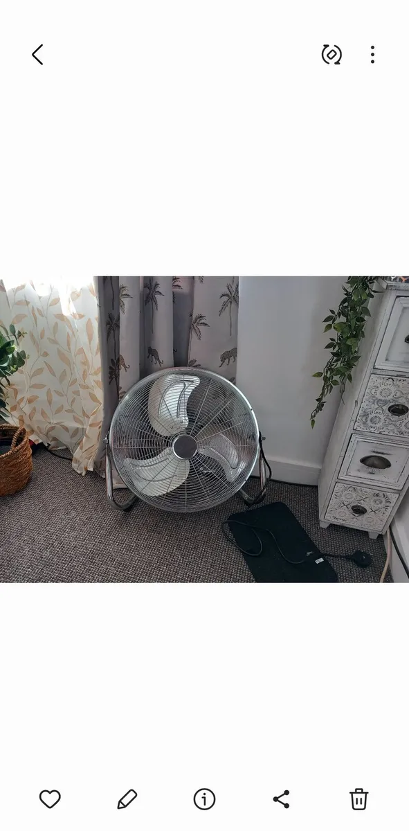 Fan