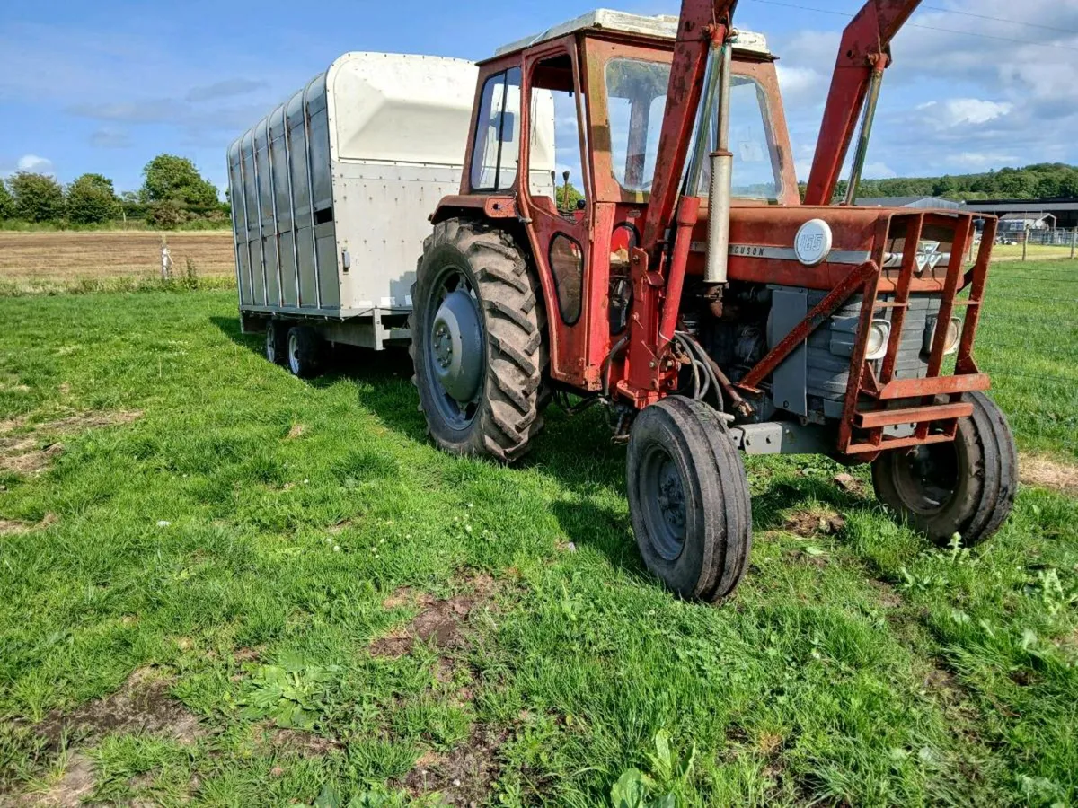 Massey Ferguson 165 And Cattle Trailer - Image 3
