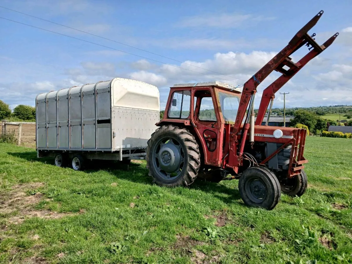 Massey Ferguson 165 And Cattle Trailer - Image 1
