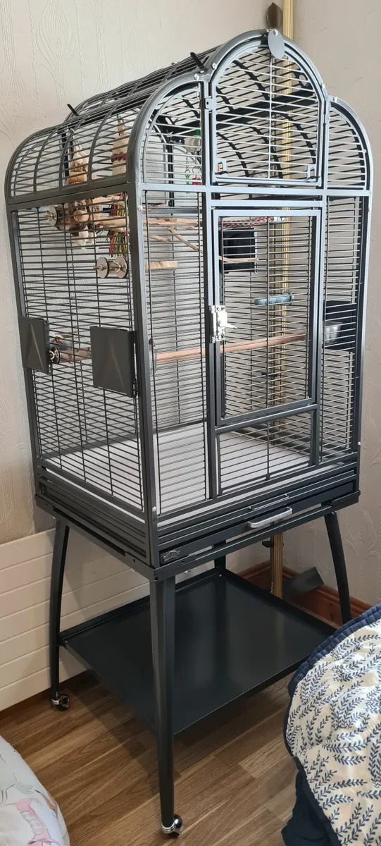 Bird Cage * for Collection Only* - Image 1