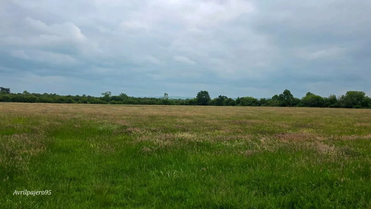 To Let: 100 Acres of Meadowing