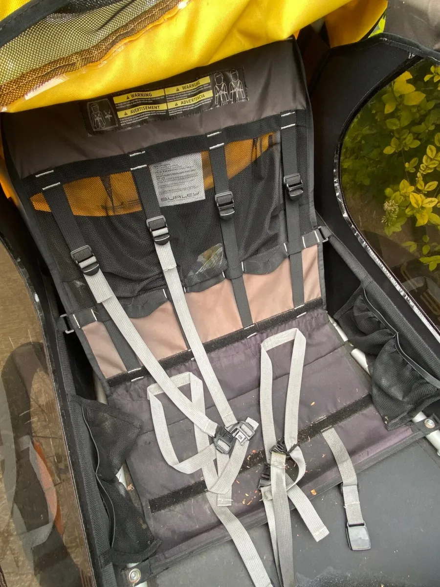 Stylish City Bike + Burley Kids Trailer - Image 2