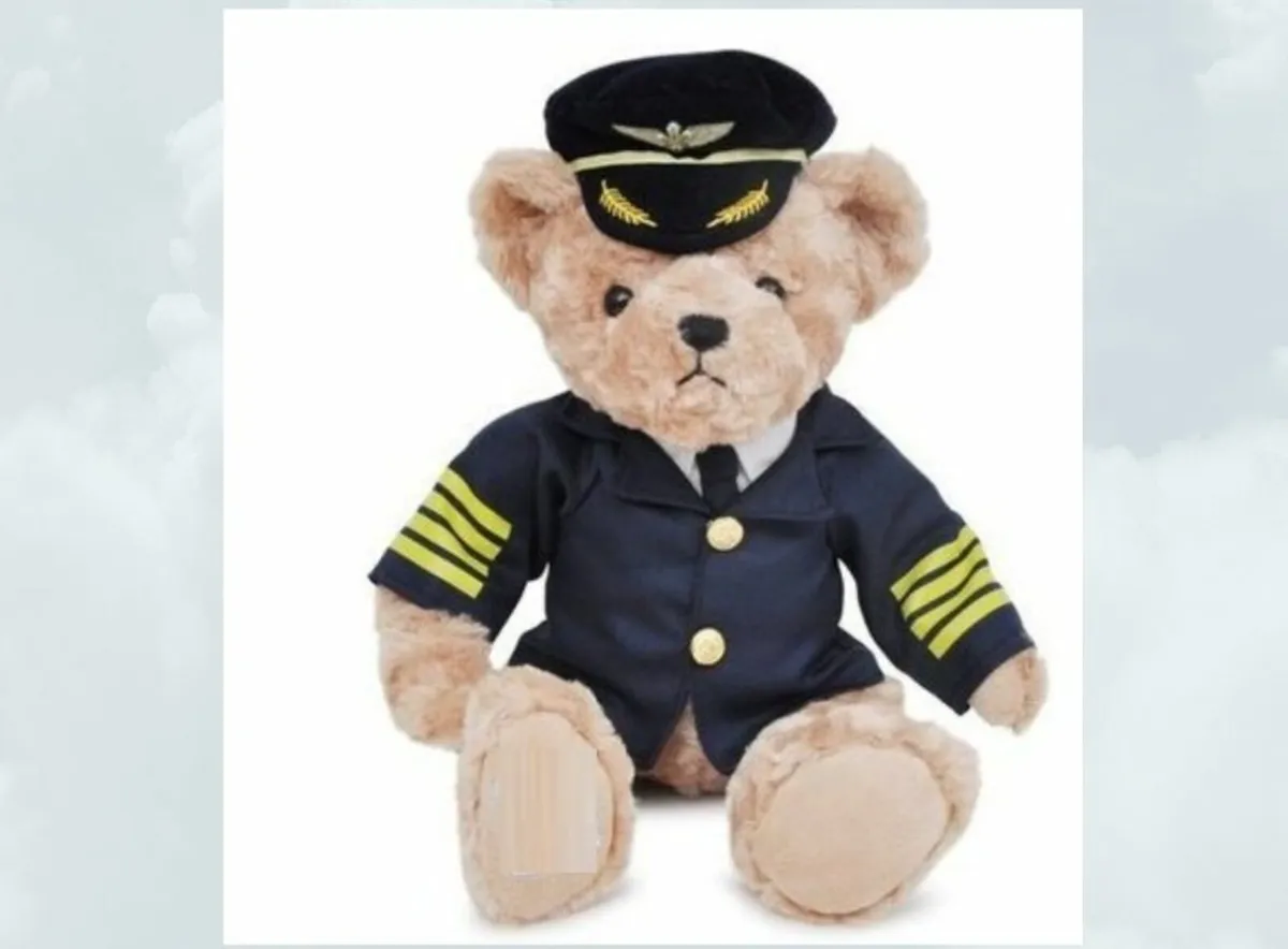 Captain, Pilot Ted Bear With Uniform, 26cm - Image 1