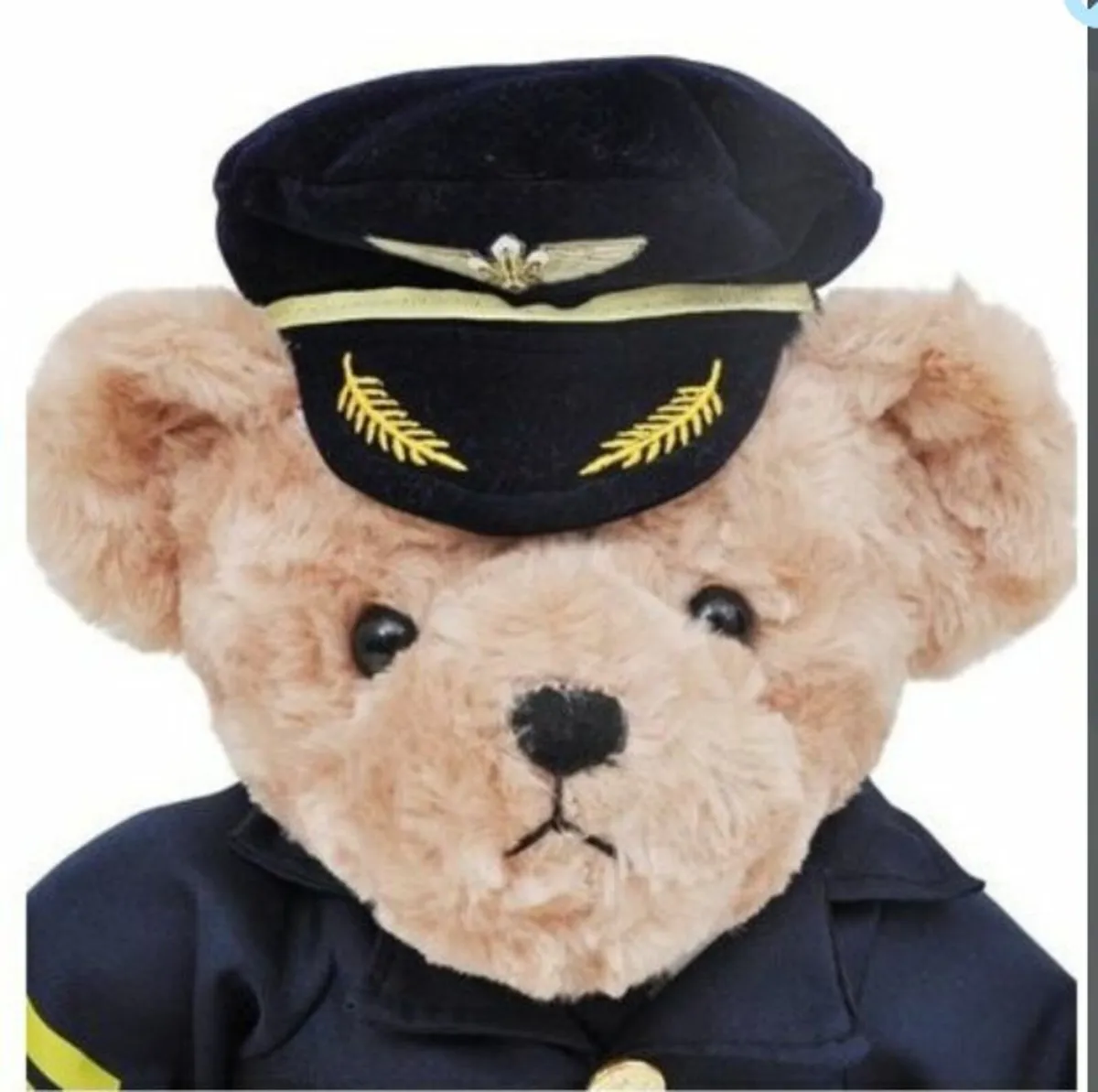 Captain, Pilot Ted Bear With Uniform, 26cm - Image 4