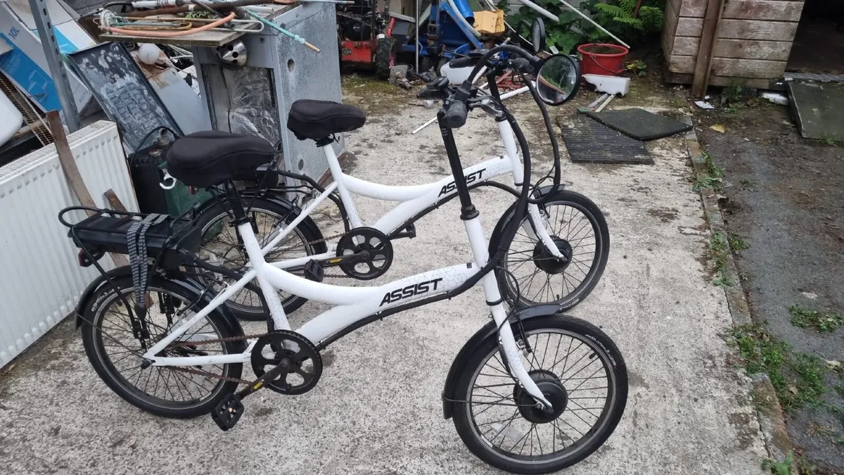 Electric bicycle - Image 1
