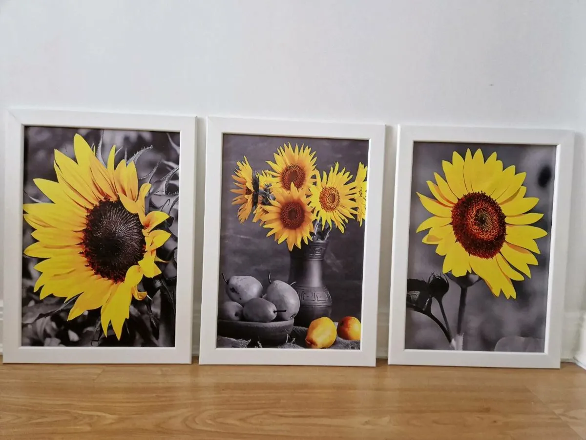 3 pictures with frames 43cm x 60 cm - Image 1