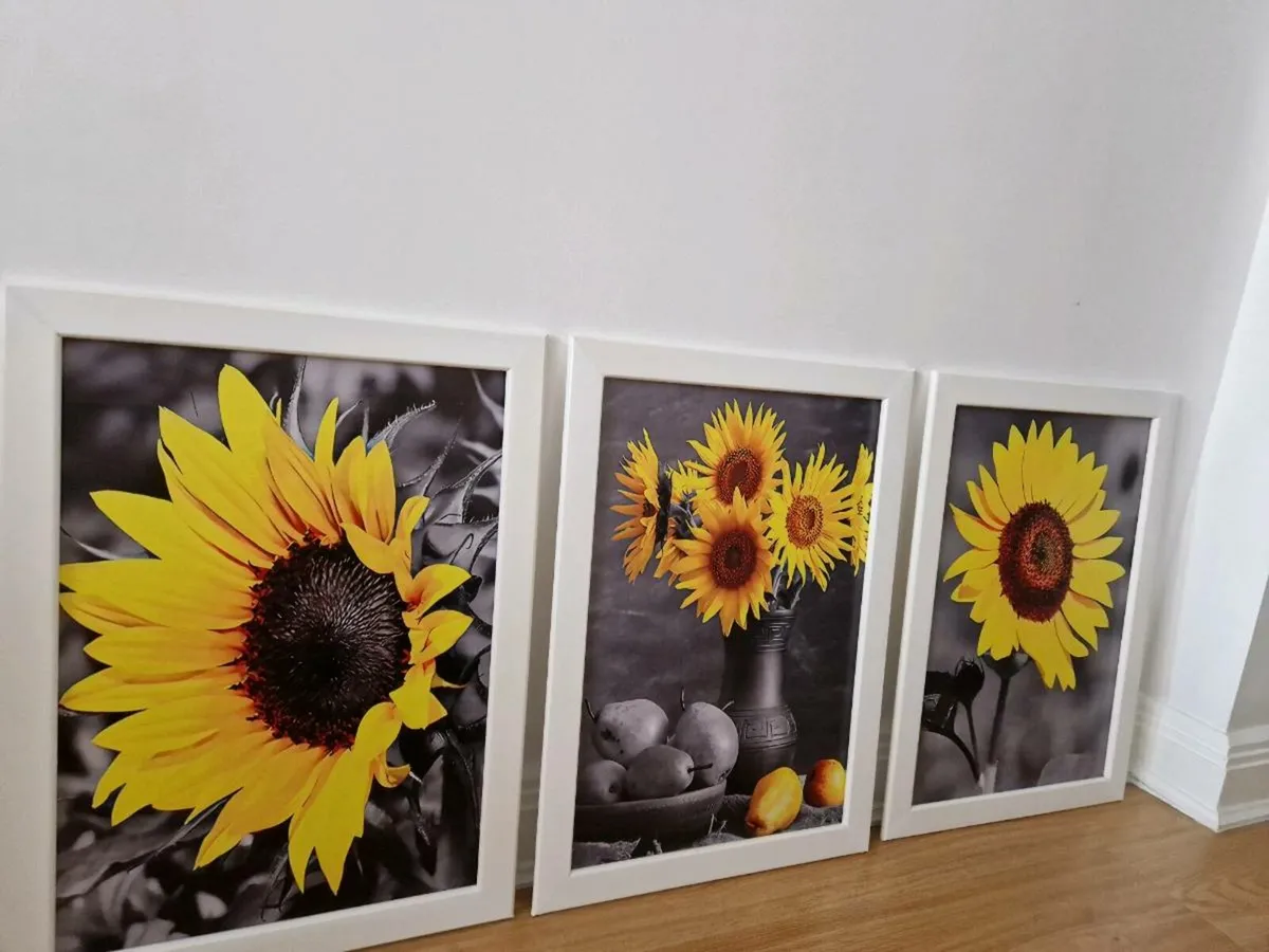 3 pictures with frames 43cm x 60 cm - Image 3
