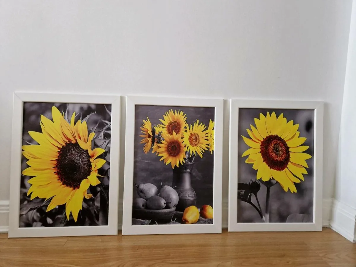 3 pictures with frames 43cm x 60 cm - Image 4