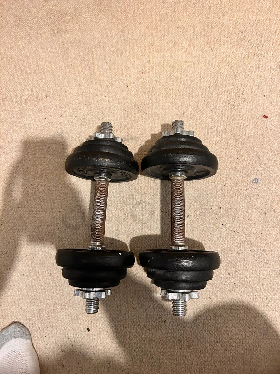 Dumbbells - Image 1