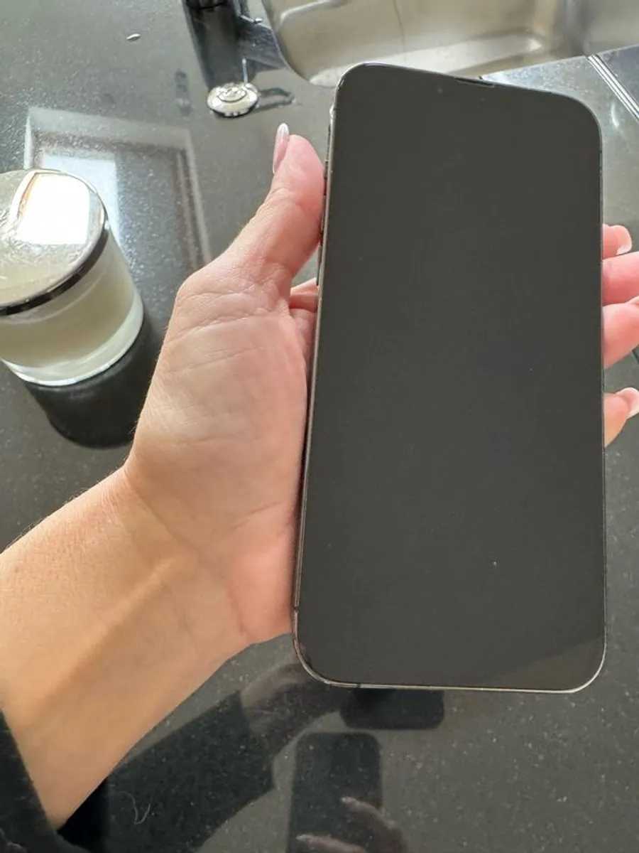 Apple IPhone 13 Pro Max graphite - Image 1