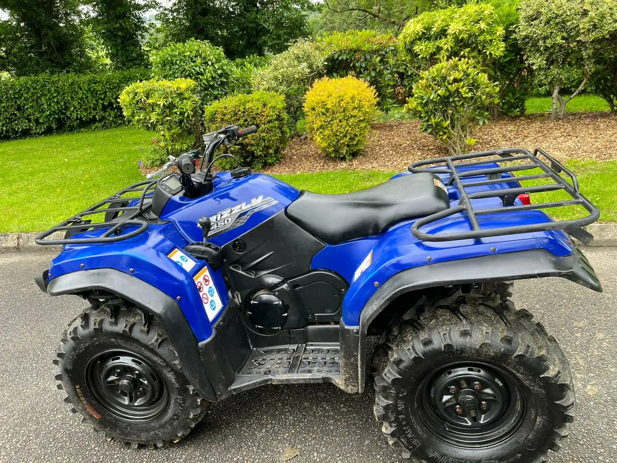 Yamaha grizzly 450 - Image 1