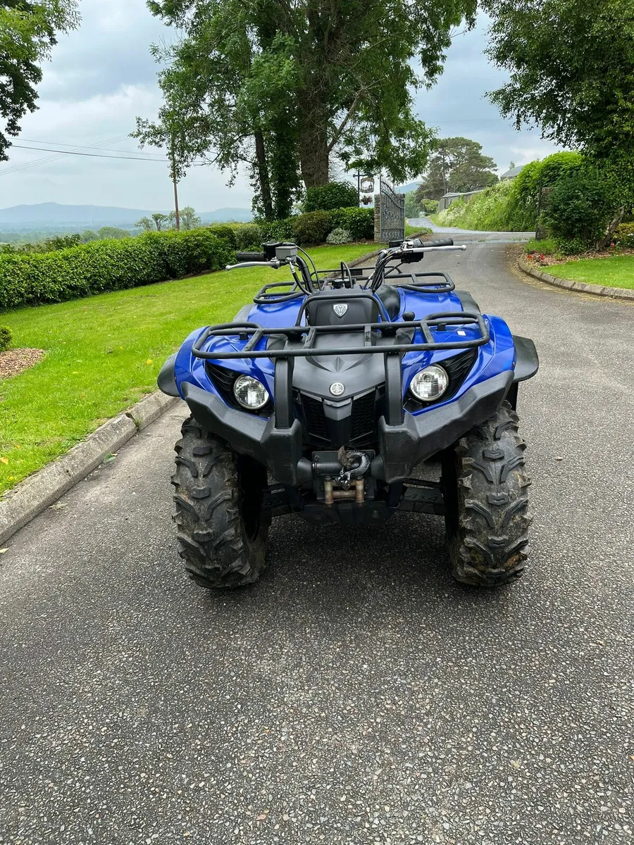 Yamaha grizzly 450 - Image 4