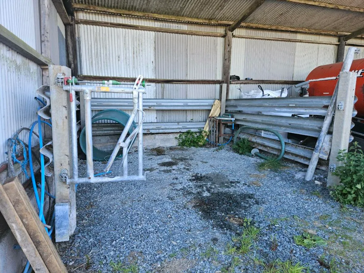 Bull headlock gate - Image 1