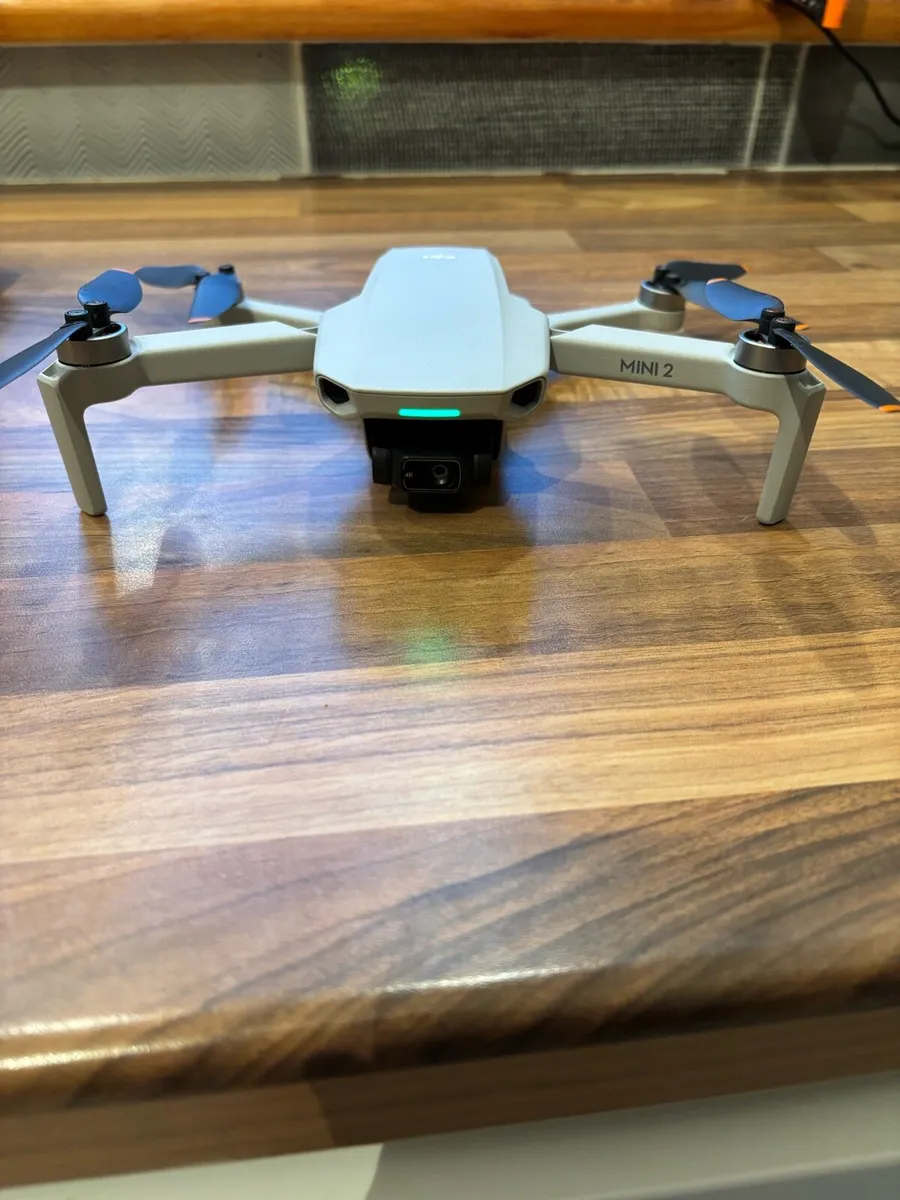DJI Mini 2 Fly More Combo - Image 2