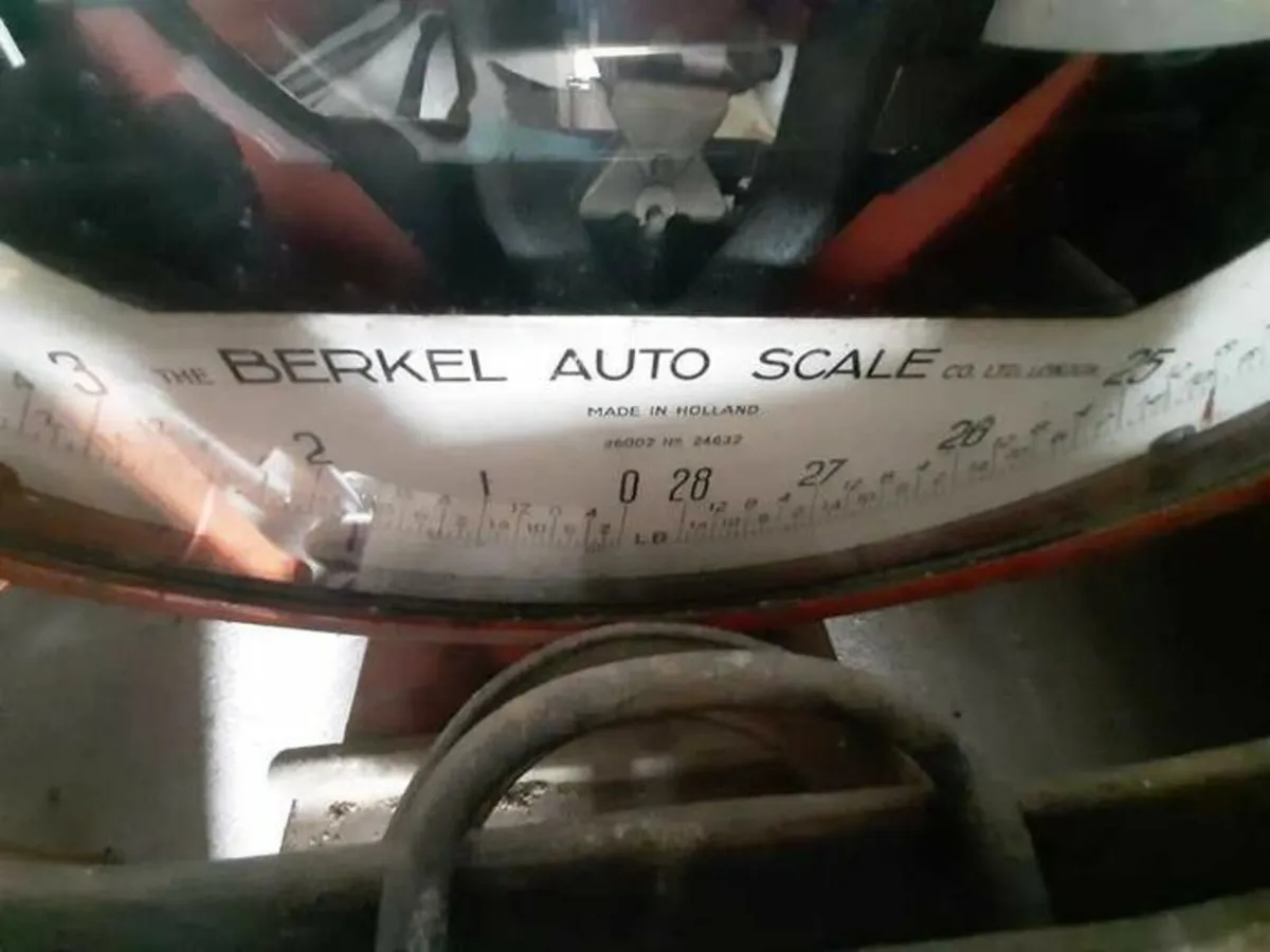 Antique Berkel Vegetable Scales  double face ename - Image 2
