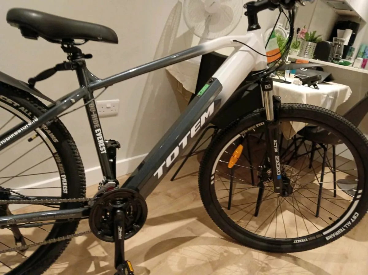 Electric mountain bike - Image 2