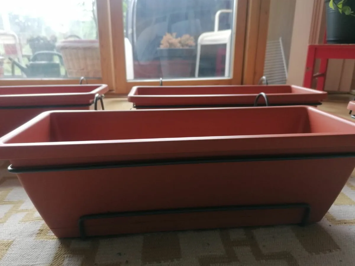 plant windowboxes - Image 2