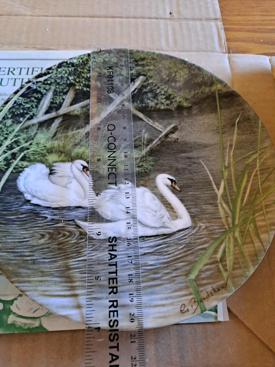 Swan Lake plate - Image 2