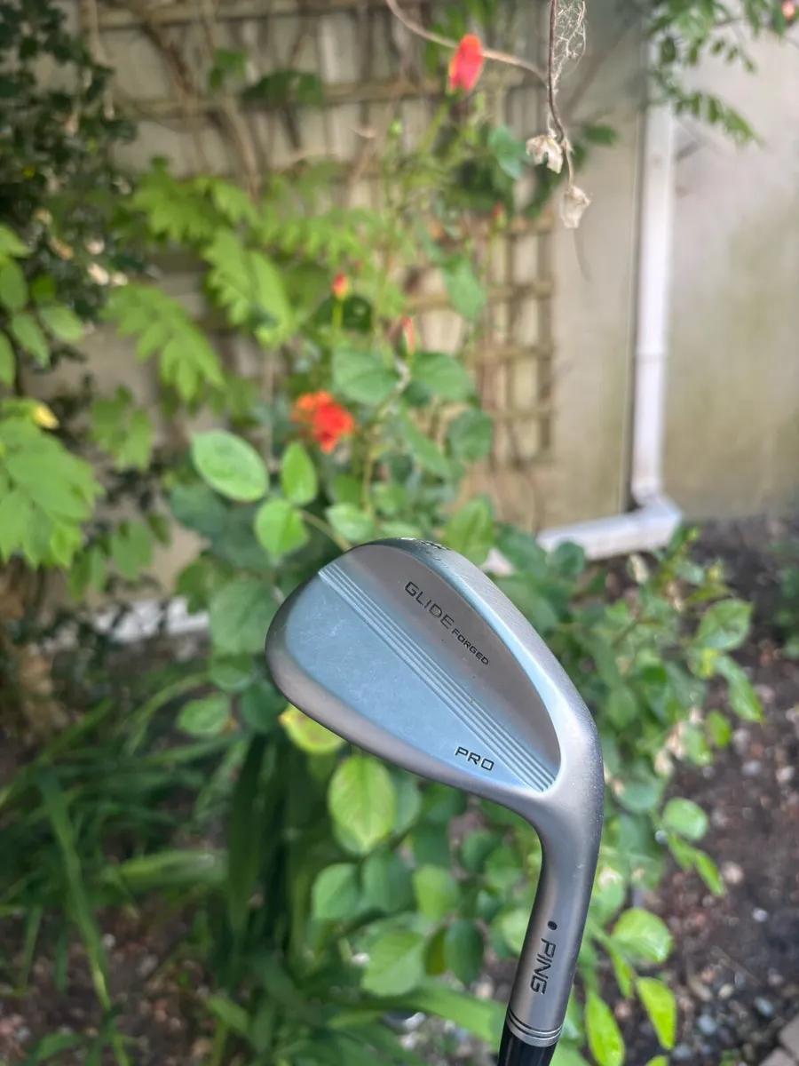 Ping wedge - Image 1