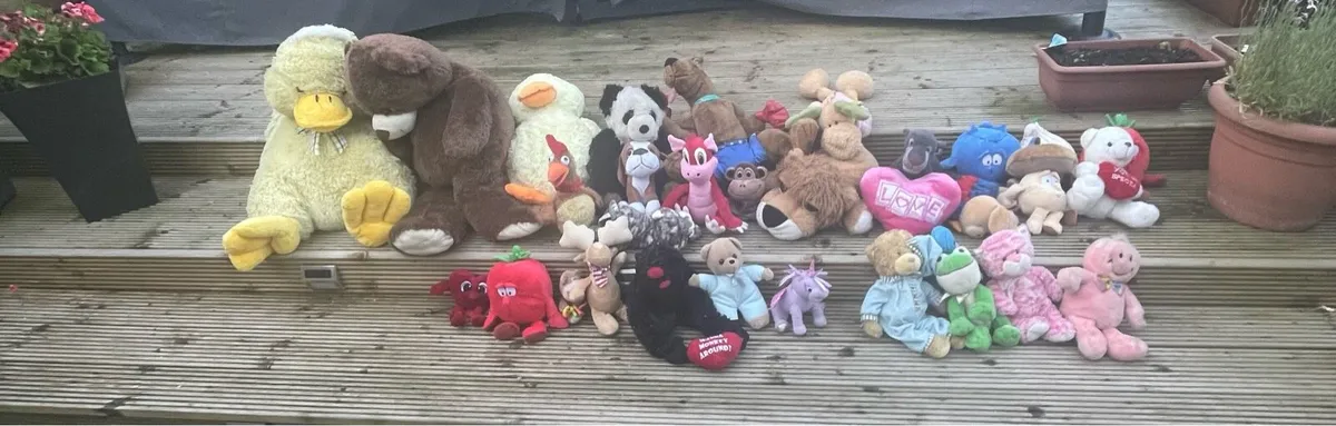 Teddy Bears