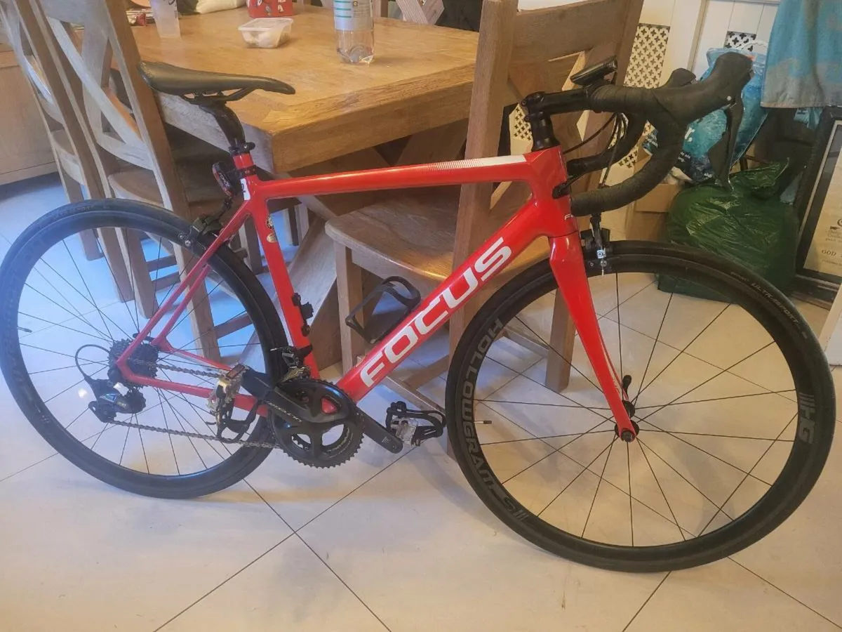 Focus izalco race carbon 9.8 - Image 1