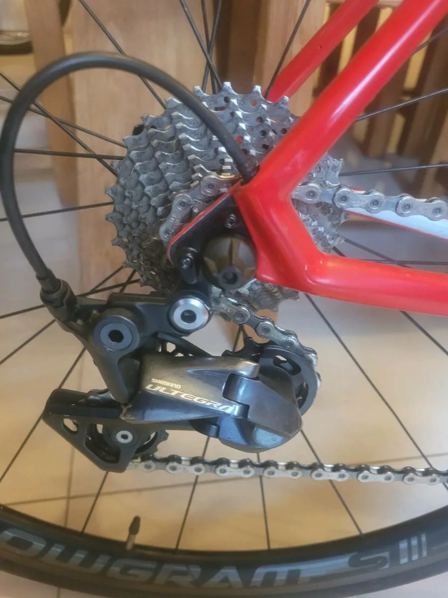 Focus izalco race carbon 9.8 - Image 3