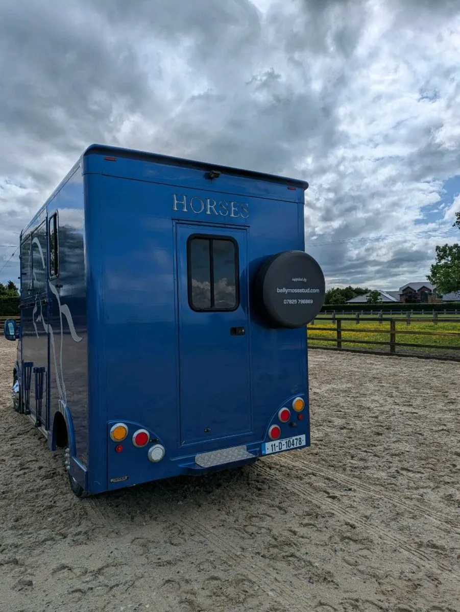 Regent 3.5ton long stall horsebox - Image 2