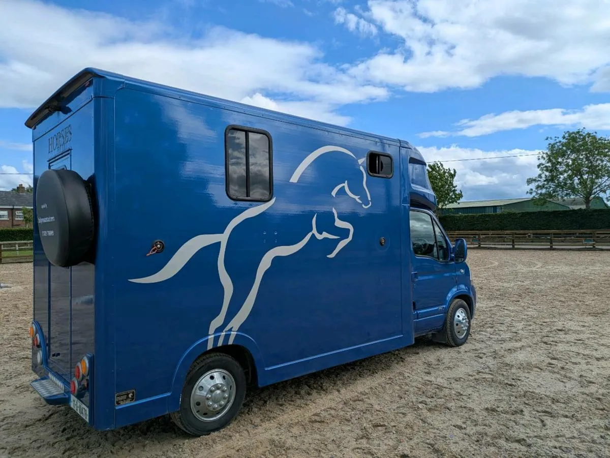 Regent 3.5ton long stall horsebox - Image 3
