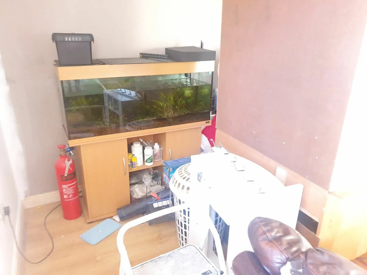 Fish tank & Accessories