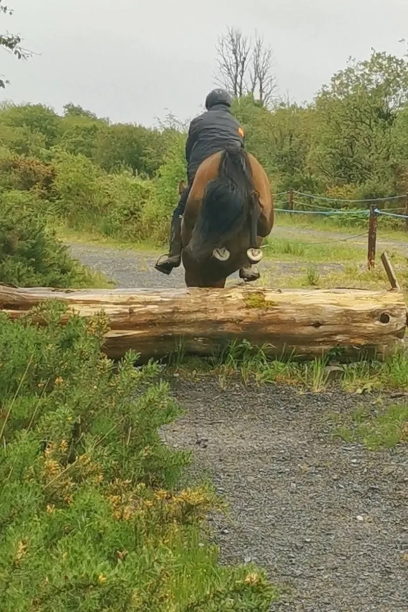 ⭐Cavan lot no. 136⭐ - Image 3