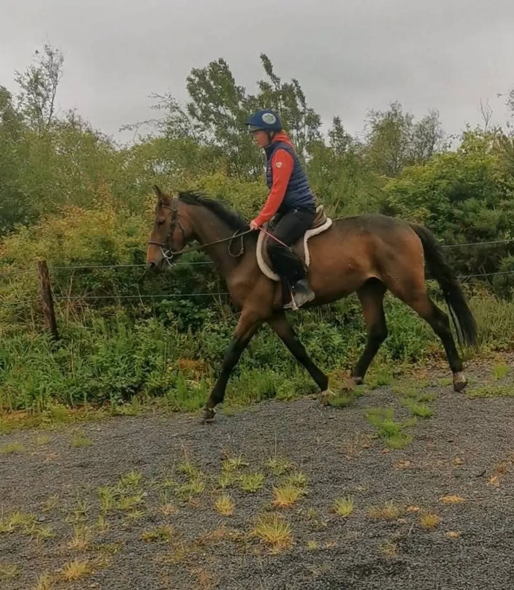 ⭐Cavan lot no. 152⭐ - Image 4