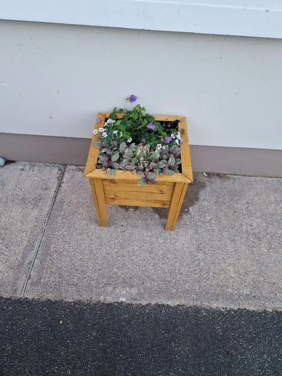 flower planters - Image 2