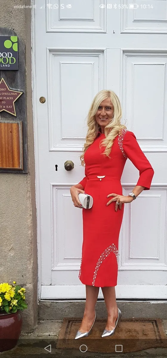 Phoenix v custom designed dress - Image 1